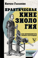 Практическая кинезиология. Как перевоспитать мышцы-халтурщицы