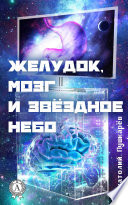 Желудок, мозг и звёздное небо