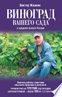 Виноград вашего сада в средней полосе России