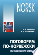 Поговорим по-норвежски. Повседневная жизнь. Базовый уровень. Учебное пособие по развитию речи