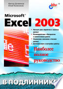 Microsoft Excel 2003