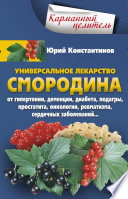 Универсальное лекарство смородина. От гипертонии, деменции, диабета, подагры, простатита, онкологии, ревматизма, сердечных заболеваний...