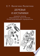 Деревья и кустарники средней полосы европейской части России. Иллюстрированный определитель