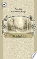 Рассказы