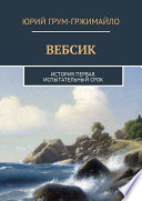 Вебсик. История первая. Испытательный срок