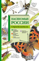 Насекомые России. Определитель