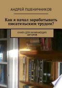 Как я начал зарабатывать писательским трудом? Книга для начинающих авторов