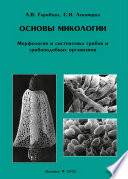 Основы микологии. Морфология и систематика грибов и грибоподобных организмов