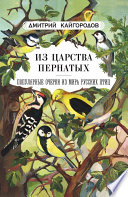Из царства пернатых. Популярные очерки из мира русских птиц