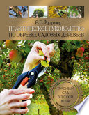 Практическое руководство по обрезке садовых деревьев