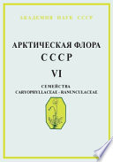 Арктическая флора СССР = Flora Arcticа URSS : Критический обзор сосудистых растений, встречающихся в арктических районах СССР. Вып. 6. Семейства Caryophyllaceae - Ranunculaceae