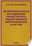 Экспериментальное исследование тканей скелета подвергавшихся замораживанию и застою