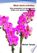 Мой @mir.orhidey. Как ухаживать за орхидеями, чтобы они цвели круглый год