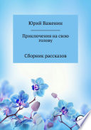 Приключения на свою голову. Сборник рассказов