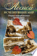 Лесной: исчезнувший мир. Очерки петербургского предместья