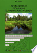 Полимасштабная организация географического ландшафта