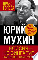 Россия – не Сингапур. Какой ВВП нам нужен