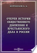 Очерки по истории общественного движения и крестьянского дела в России