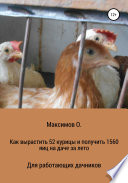 Как вырастить 52 курицы и получить 1560 яиц на даче за лето. Для работающих дачников