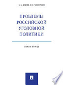 Проблемы российской уголовной политики