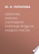 Облепиха, малина, смородина. Полезные ягоды на каждом участке