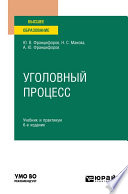 Уголовный процесс 6-е изд., пер. и доп. Учебник и практикум для вузов