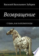 Возвращение. Судьба, как капельки воды