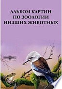 Альбом картин по зоологии низших животных