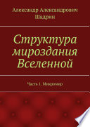 Структура мироздания Вселенной. Часть 1. Микромир