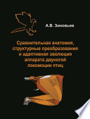 Сравнительная анатомия, структурные преобразования и адаптивная эволюция аппарата двуногой локомоции птиц