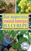 Как вырастить южный виноград на севере