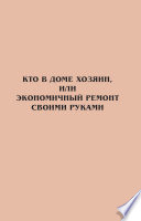 Кто в доме хозяин, или Экономичный ремонт своими руками