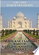 Индия как главный фактор в средне-азиатском вопросе