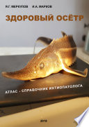 ЗДОРОВЫЙ ОСЁТР