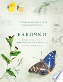 Бабочки. Основы систематики, среда обитания, жизненный цикл и магия совершенства