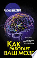 Как работает ваш мозг. Внутри самого сложного объекта во Вселенной
