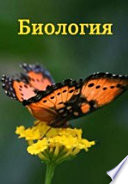 О некоторых аномалиях человеческого черепа и преимущественно об их распространении по расам