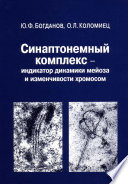 Синаптонемный комплекс – индикатор динамики мейоза и изменчивости хромосом