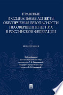 Правовые и социальные аспекты обеспечения безопасности несовершеннолетних в Российской Федерации. Монография