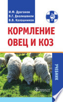 Кормление овец и коз