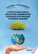 Стратегические аспекты обеспечения экономической безопасности организации в условиях пандемии