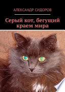 Серый кот, бегущий краем мира