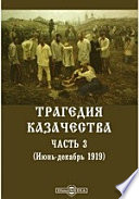 Трагедия казачества. (Июнь-декабрь 1919)