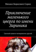 Приключение маленького цверга по имени Зариника. Светлой памяти четвероногих друзей