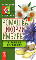 Ромашка, цикорий, имбирь в помощь организму