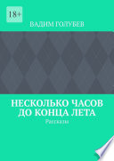 Несколько часов до конца лета. Рассказы