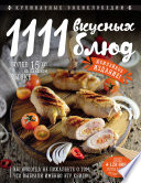 1111 вкусных блюд