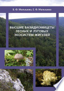 Высшие базидиомицеты лесных и луговых экосистем Жигулей