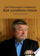 Как изгибали сталь. Путевые записки офицера