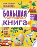 Большая почемучкина книга